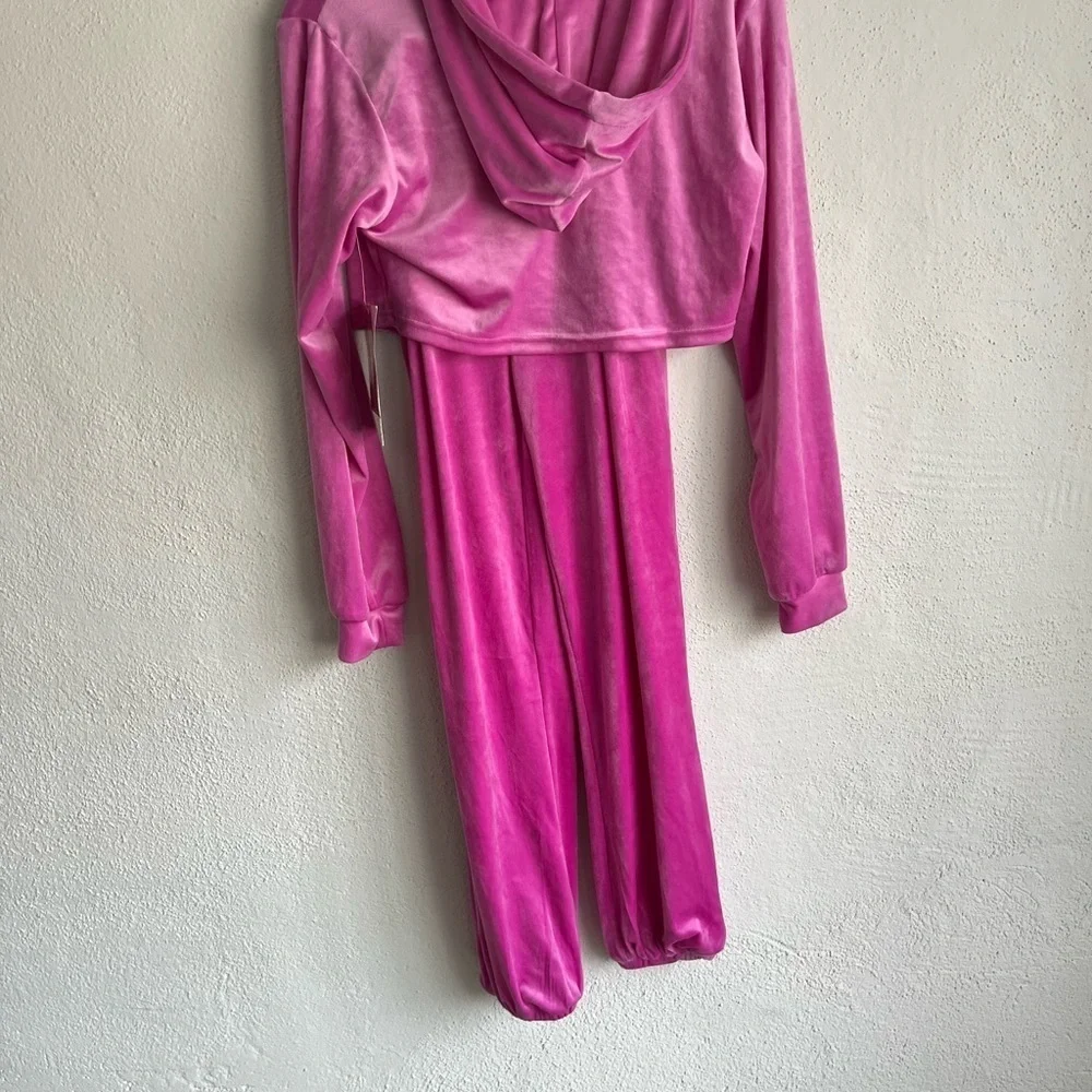 Vivre La Vie Velvet Pink Y2K Jogger and Crop Hooded Sweatshirt Set, Size L